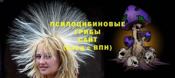 дурь Алексеевка