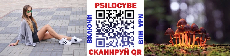 Псилоцибиновые грибы Magic Shrooms  что такое   Иркутск 